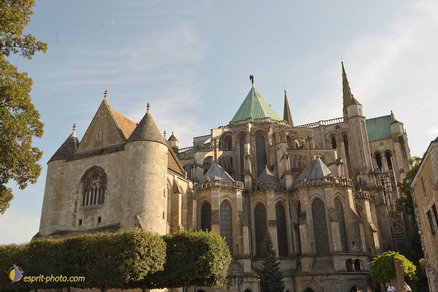 Nom de l'image : D30059184_1_(c)Norbert-JUNG — Description :